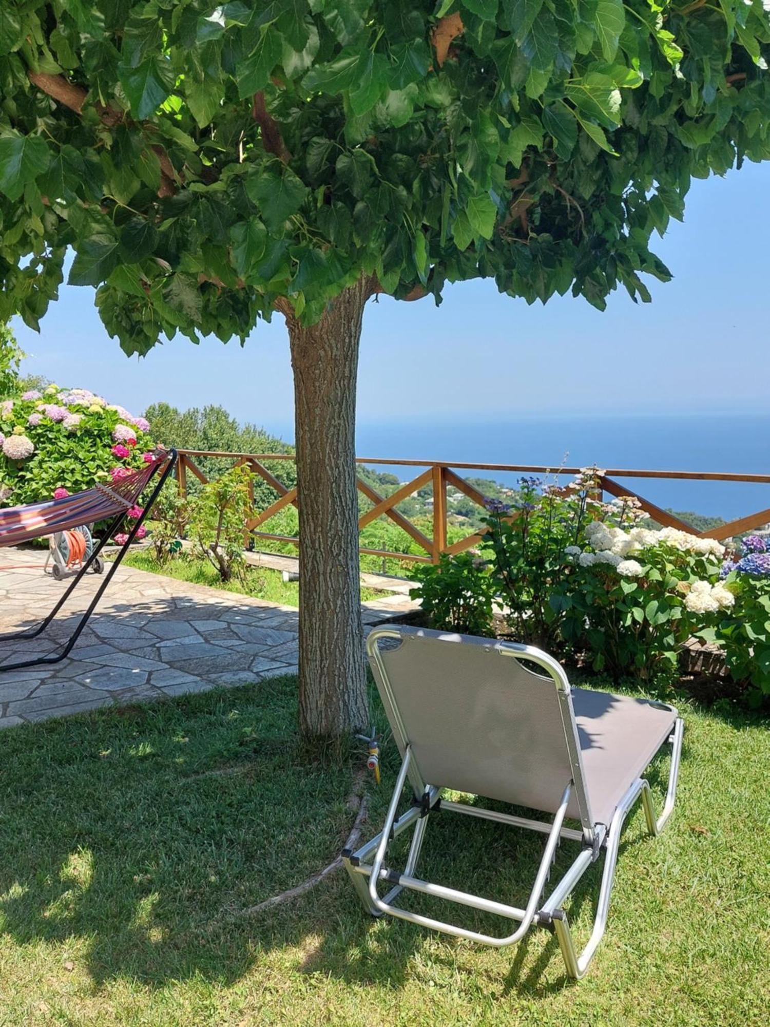 Θαλλώ Luxurious Villa تساغارادا الغرفة الصورة